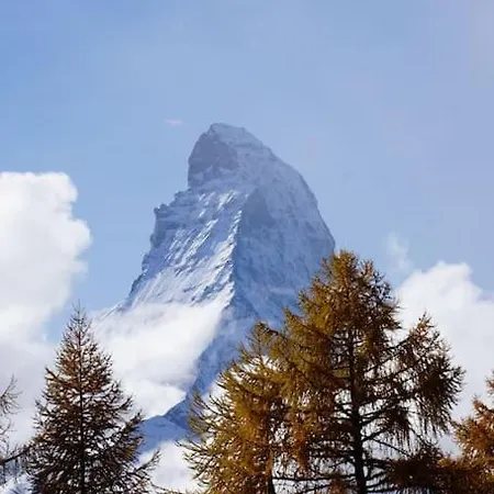 Local Flat * Zermatt